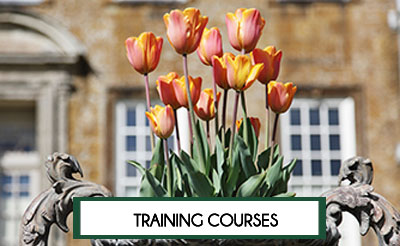 London Academy for Household Staff Training Courses